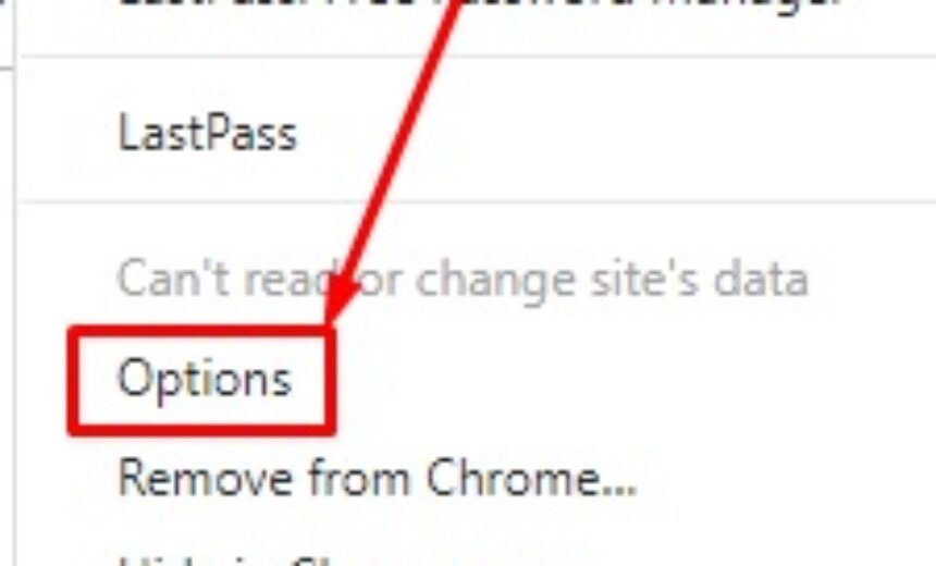 Change LastPass icon