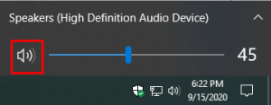 Muting/unmuting the audio