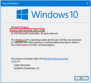 Windows 10 Pro edition, version, and OS build