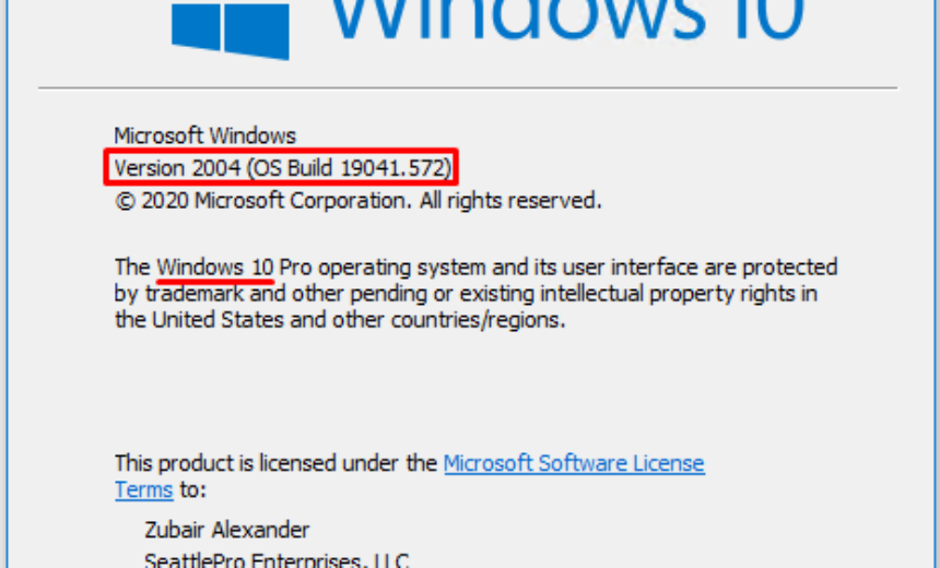 Windows 10 Pro edition, version, and OS build