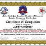 Zubair Alexander - Certificate in Intelligence Studies